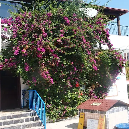 Letoon Отель Calis